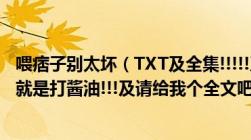 喂痞子别太坏（TXT及全集!!!!!及我已经下N个了及不是vip就是打酱油!!!及请给我个全文吧!!谢谢！！！！！）