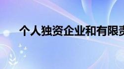 个人独资企业和有限责任公司的区别？