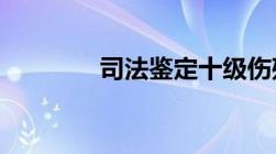 司法鉴定十级伤残鉴定标准