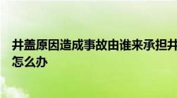 井盖原因造成事故由谁来承担井盖破损造成的事故不给赔偿怎么办