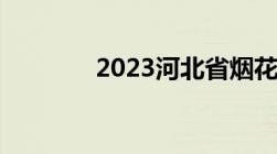 2023河北省烟花爆竹新政策