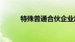 特殊普通合伙企业属于什么企业