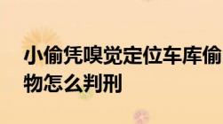 小偷凭嗅觉定位车库偷24瓶茅台盗窃他人财物怎么判刑