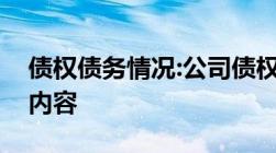 债权债务情况:公司债权债务情况说明有什么内容