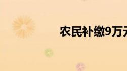 农民补缴9万元新政策