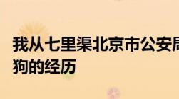 我从七里渠北京市公安局犬类留检所收养流浪狗的经历