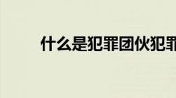 什么是犯罪团伙犯罪集团如何认定