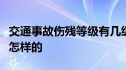 交通事故伤残等级有几级八级伤残鉴定标准是怎样的