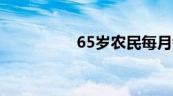 65岁农民每月领多少钱