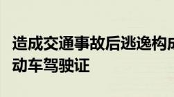 造成交通事故后逃逸构成犯罪的人不能申请机动车驾驶证