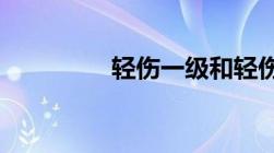 轻伤一级和轻伤二级谁重