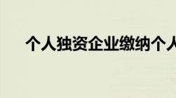 个人独资企业缴纳个人所得税怎么缴纳