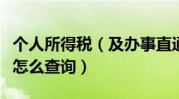 个人所得税（及办事直通车及广州个人所得税怎么查询）