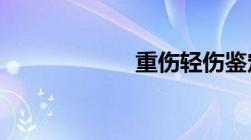 重伤轻伤鉴定标准