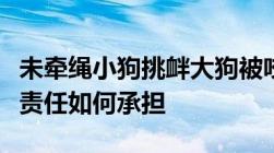 未牵绳小狗挑衅大狗被咬男子踹狗致老人摔倒责任如何承担