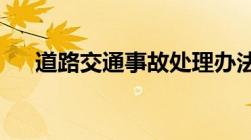 道路交通事故处理办法若干规定有哪些