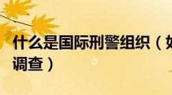 什么是国际刑警组织（如何协助在走私犯罪中调查）