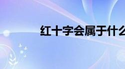 红十字会属于什么性质的机构