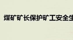 煤矿矿长保护矿工安全生产七条规定是什么