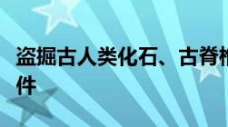 盗掘古人类化石、古脊椎动物化石罪的构成条件