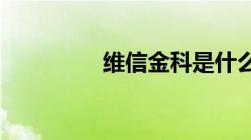 维信金科是什么贷款公司