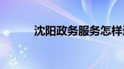 沈阳政务服务怎样进行重名查询