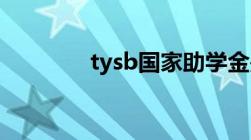 tysb国家助学金是什么意思