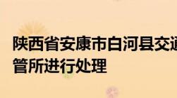 陕西省安康市白河县交通违章在哪个地方的车管所进行处理