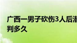 广西一男子砍伤3人后潜逃持刀伤人后逃跑了判多久