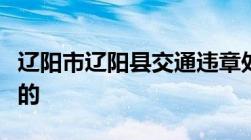 辽阳市辽阳县交通违章处理地点法律怎么规定的