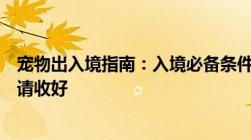 宠物出入境指南：入境必备条件、所需材料、以及隔离政策请收好