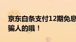 京东白条支付12期免息什么意思细解！不带骗人的哦！