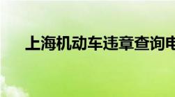 上海机动车违章查询电子警察是怎样的