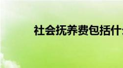 社会抚养费包括什么标准有哪些