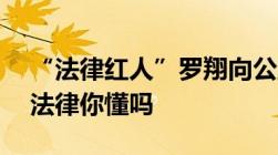 “法律红人”罗翔向公益组织捐37万背后的法律你懂吗