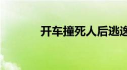 开车撞死人后逃逸后果是什么