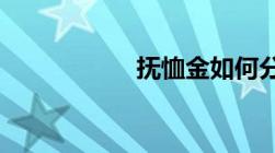 抚恤金如何分配法律