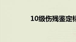 10级伤残鉴定标准是什么