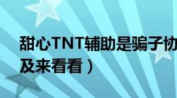 甜心TNT辅助是骗子协会（有几个人上当了及来看看）