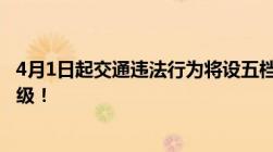 4月1日起交通违法行为将设五档记分拨打、接听电话处罚升级！