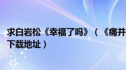 求白岩松《幸福了吗》（《痛并快乐着》和柴静《看见》txt下载地址）