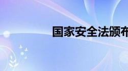 国家安全法颁布于哪一年