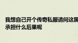 我想自己开个传奇私服请问这属于违法行为么如果属于那要承担什么后果呢