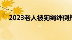 2023老人被狗绳绊倒摔地后身亡谁赔偿