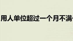 用人单位超过一个月不满一年未签订劳动合同