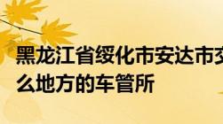 黑龙江省绥化市安达市交通违章进行处理在什么地方的车管所