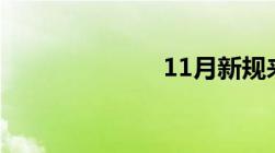 11月新规来了！