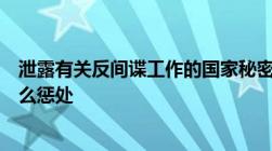 泄露有关反间谍工作的国家秘密的违法行为人会受到下列什么惩处