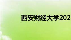 西安财经大学2023录取分数线