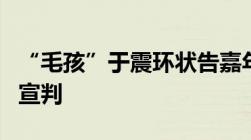 “毛孩”于震环状告嘉年华侵犯肖像权案终审宣判